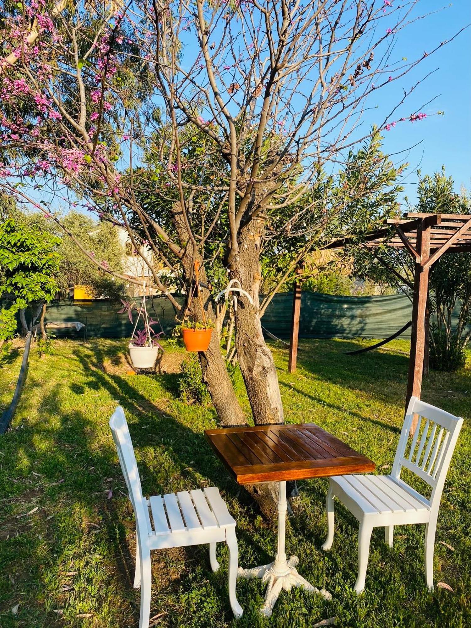 Çıralı Marina Loft Apartamento Exterior foto